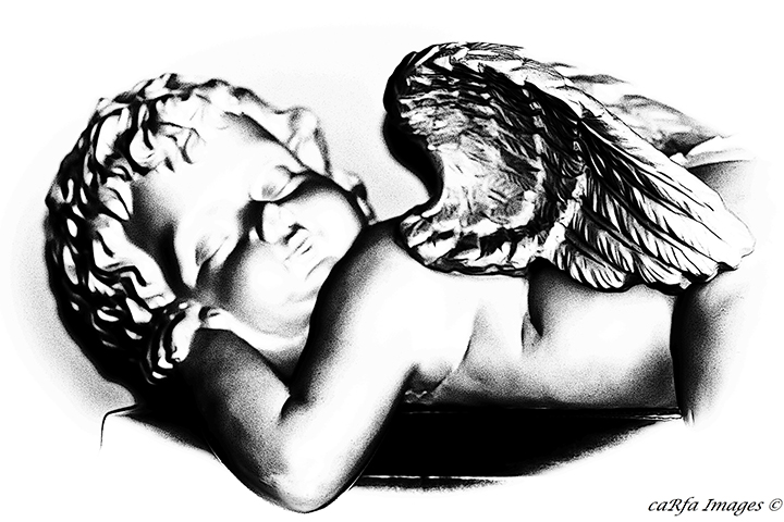 Fabrizio Carollo Official Site